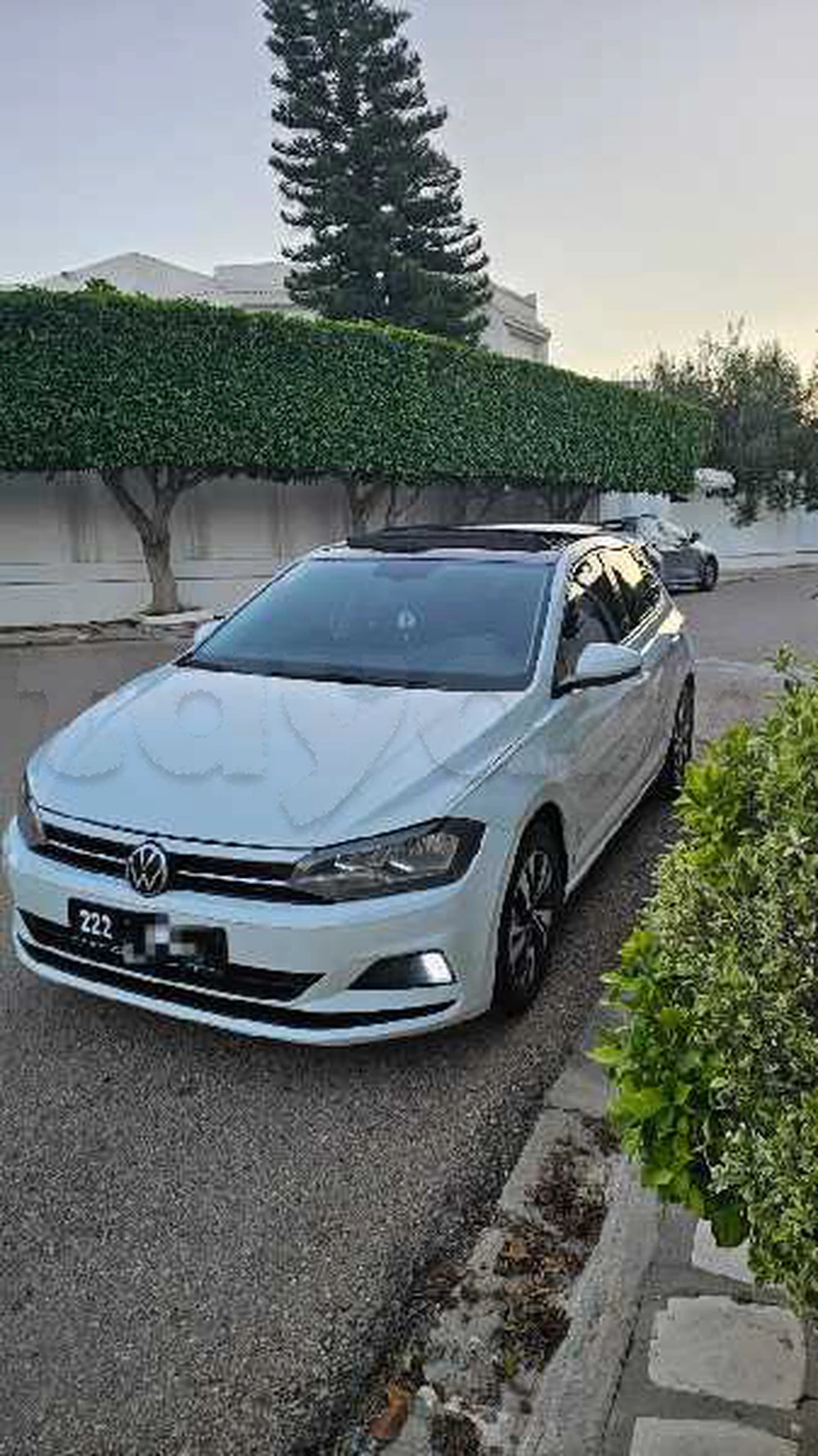 Carte voiture Volkswagen Polo