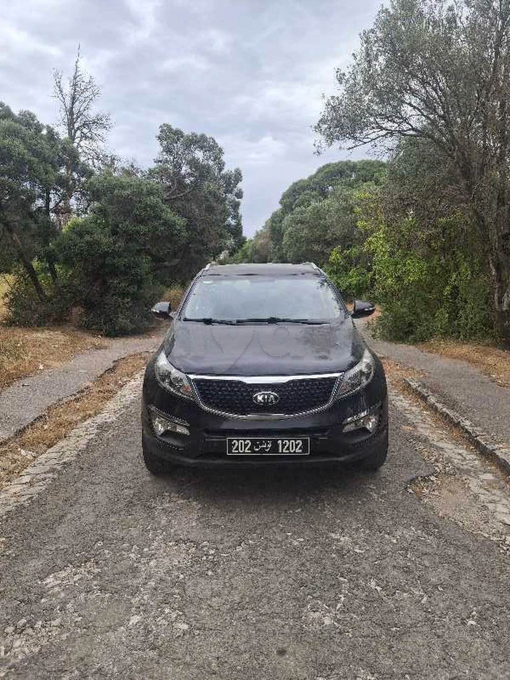 Carte voiture Kia Sportage