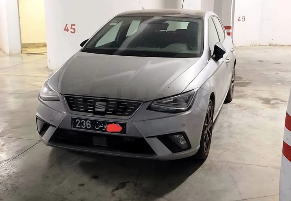 Carte voiture SEAT Ibiza