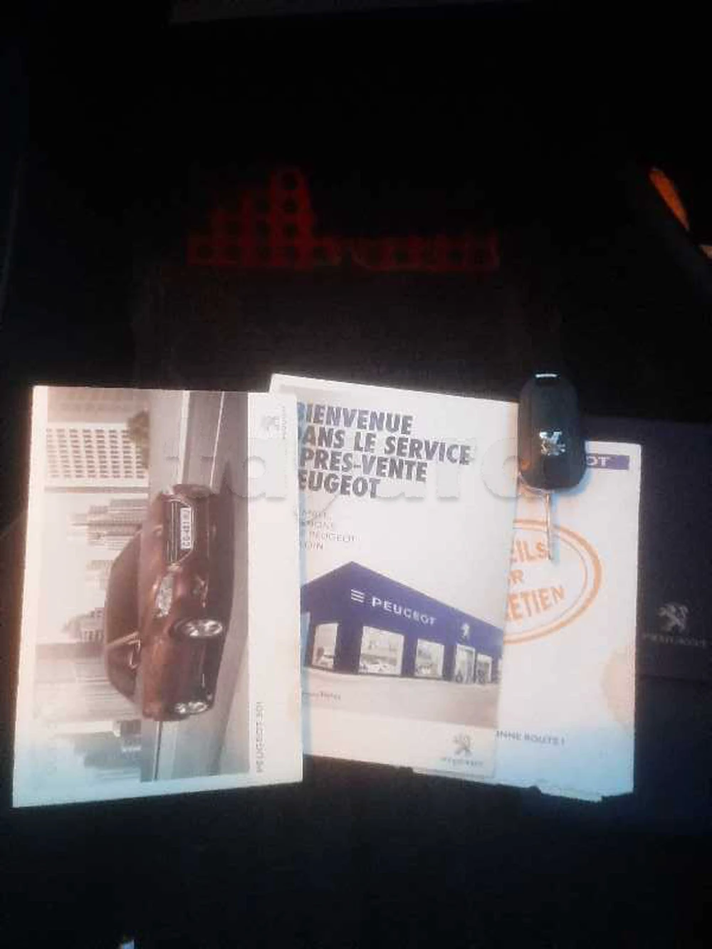 Carte voiture Peugeot 301