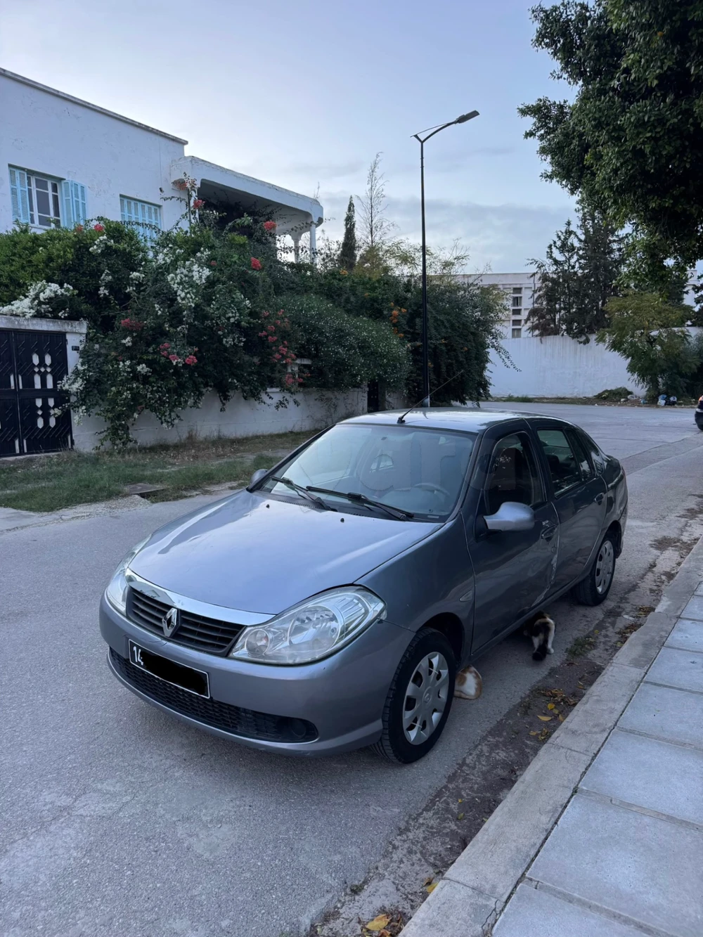 Renault Symbol