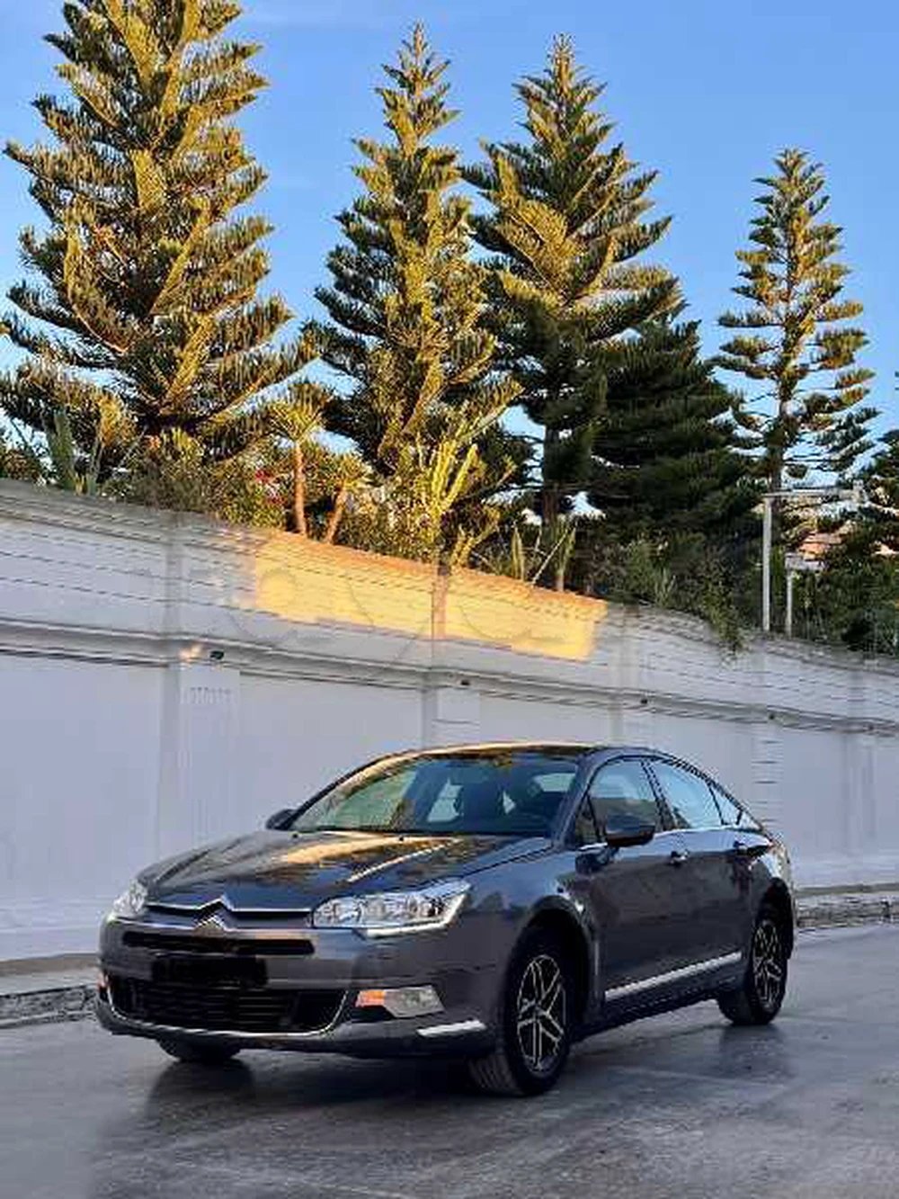 Carte voiture Citroen C5