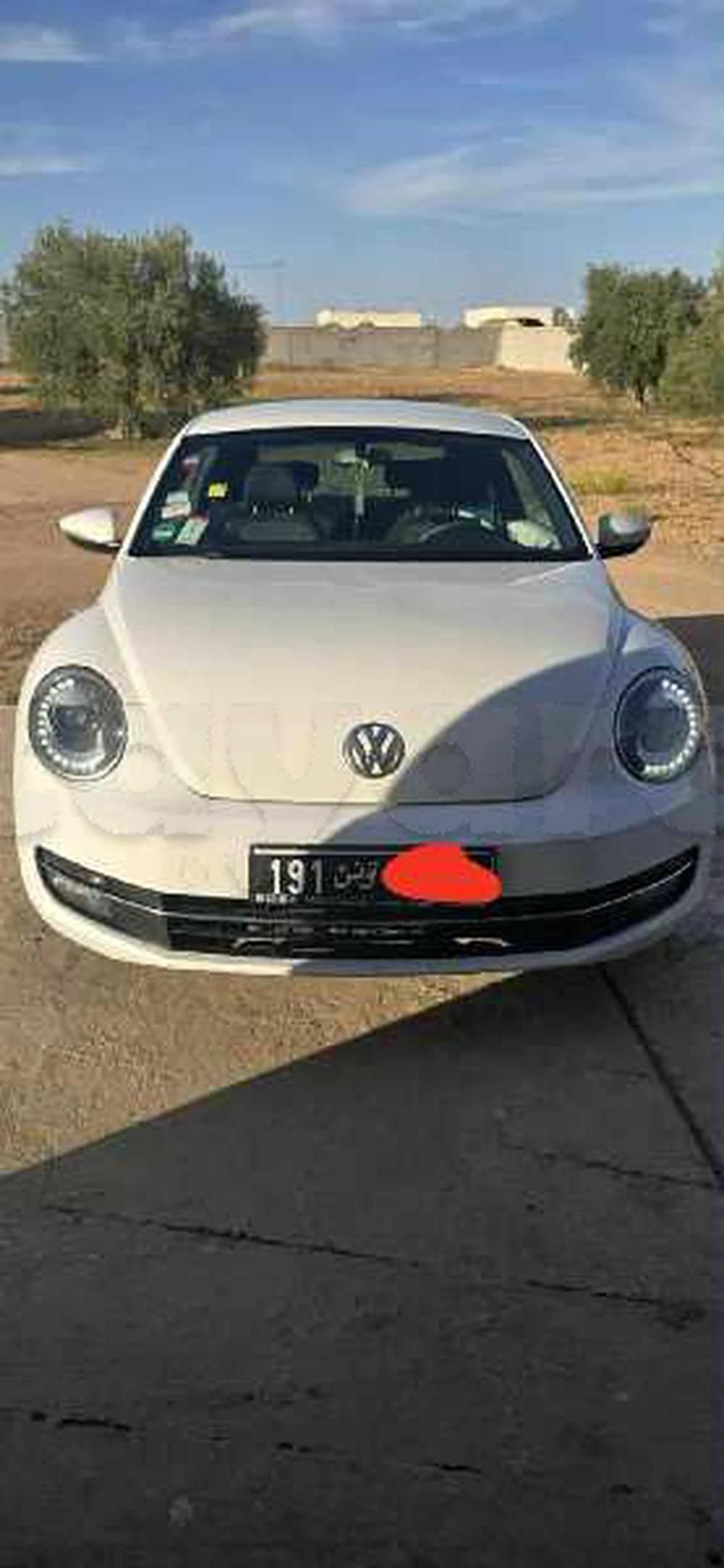 Carte voiture Volkswagen Beetle