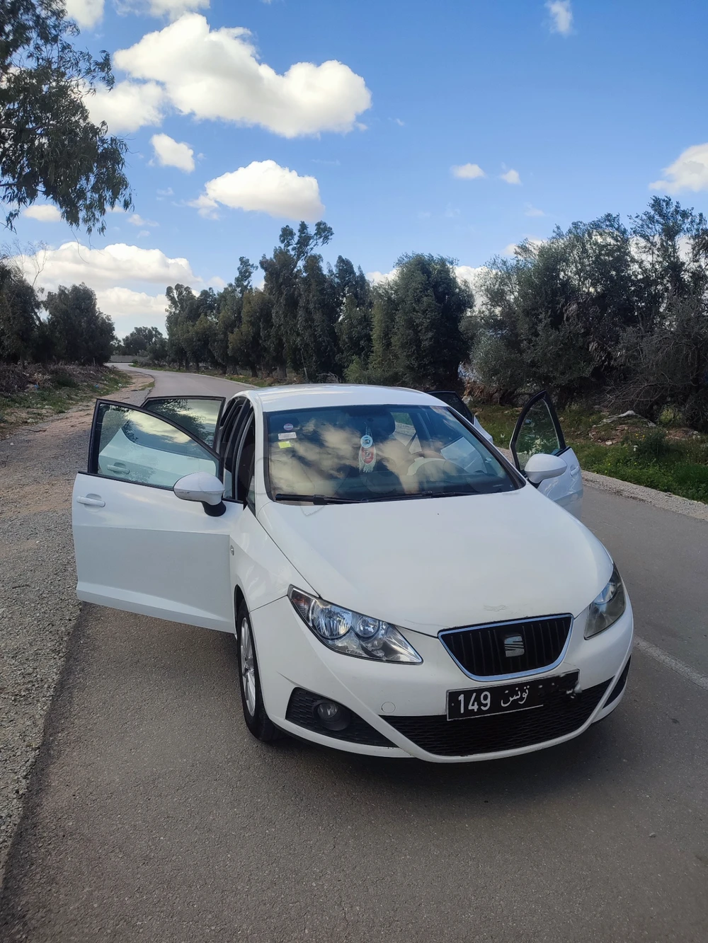 Carte voiture SEAT Ibiza