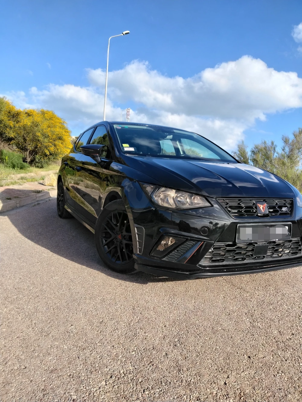 Carte voiture SEAT Ibiza