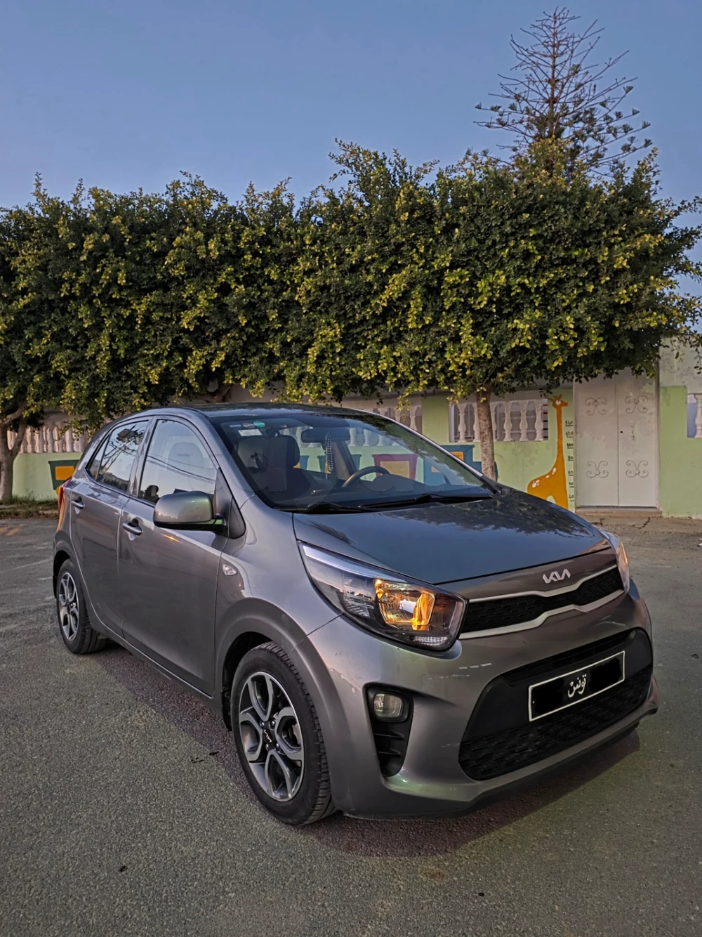 Carte voiture Kia Picanto