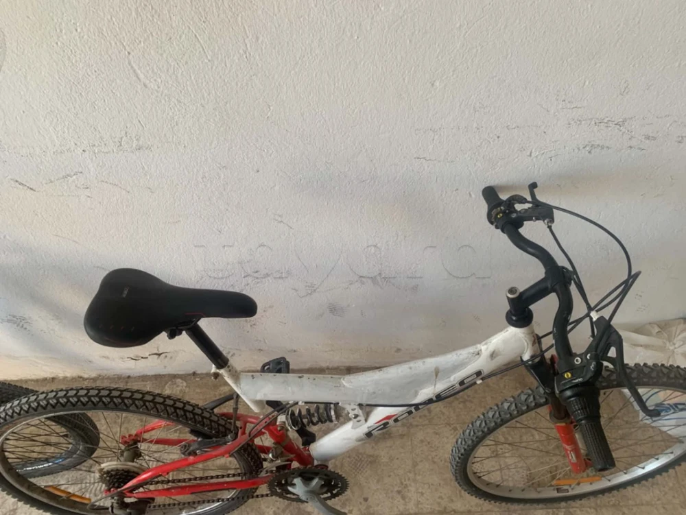 velo avender
