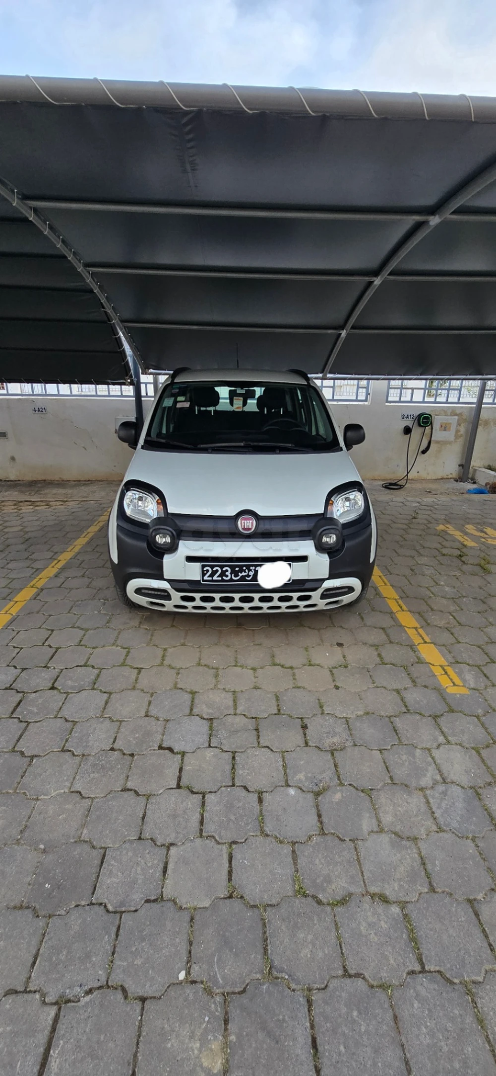 Carte voiture Fiat Panda