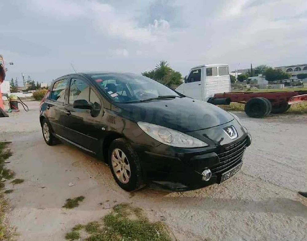 Carte voiture Peugeot 307