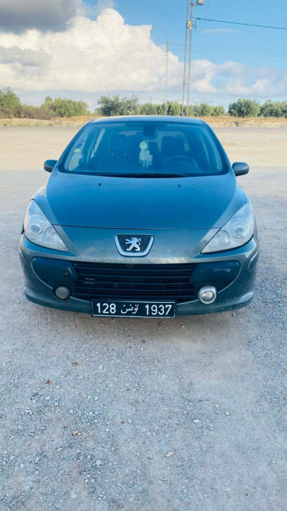 Carte voiture Peugeot 307