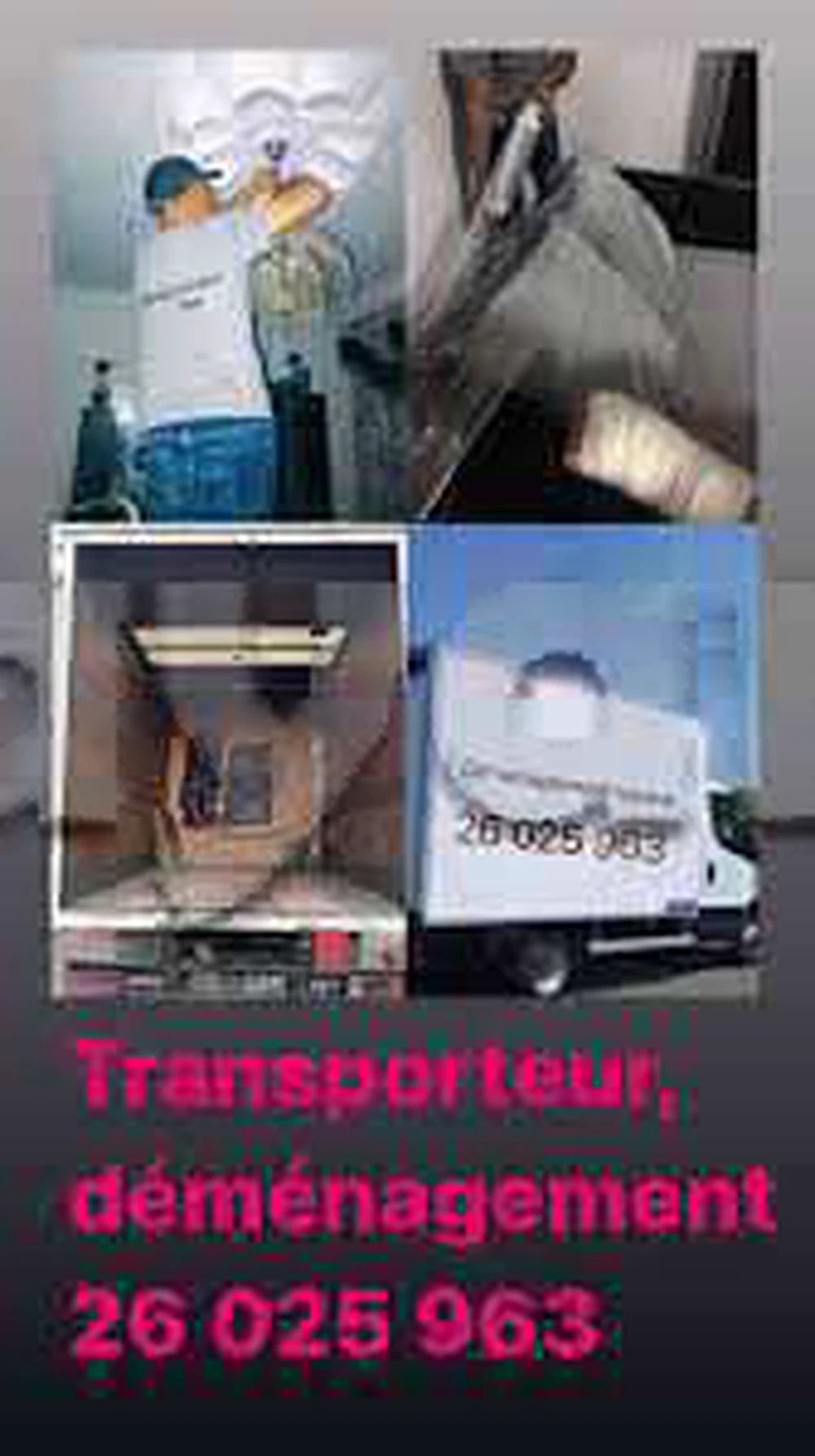 Spécialiste déménagement 26025963 transporteur