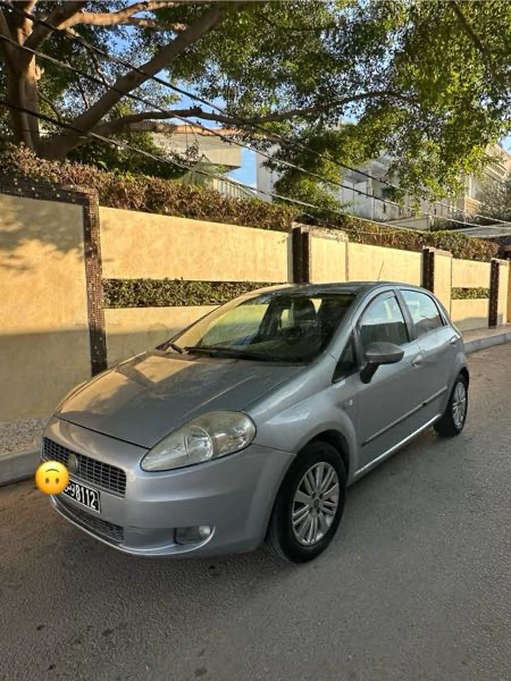 Carte voiture Fiat Punto