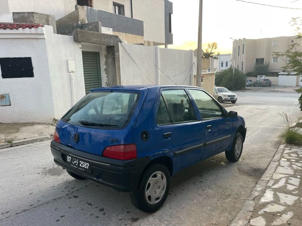 Carte voiture Peugeot 106