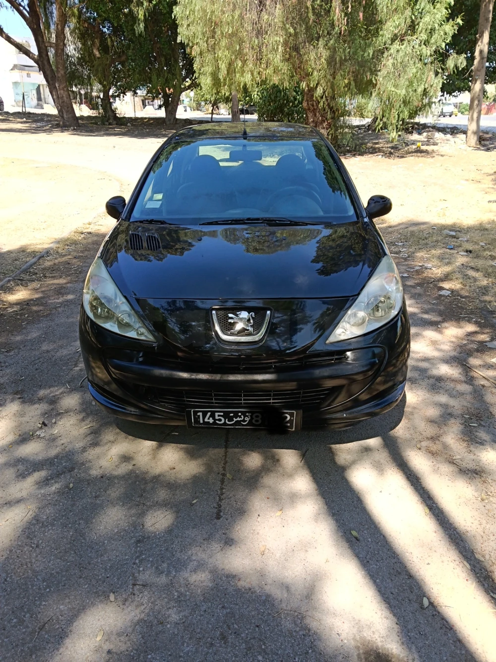 Peugeot 206+