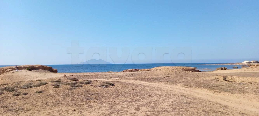 terrain de 5 hk a vendre sidi dauad el haouaria