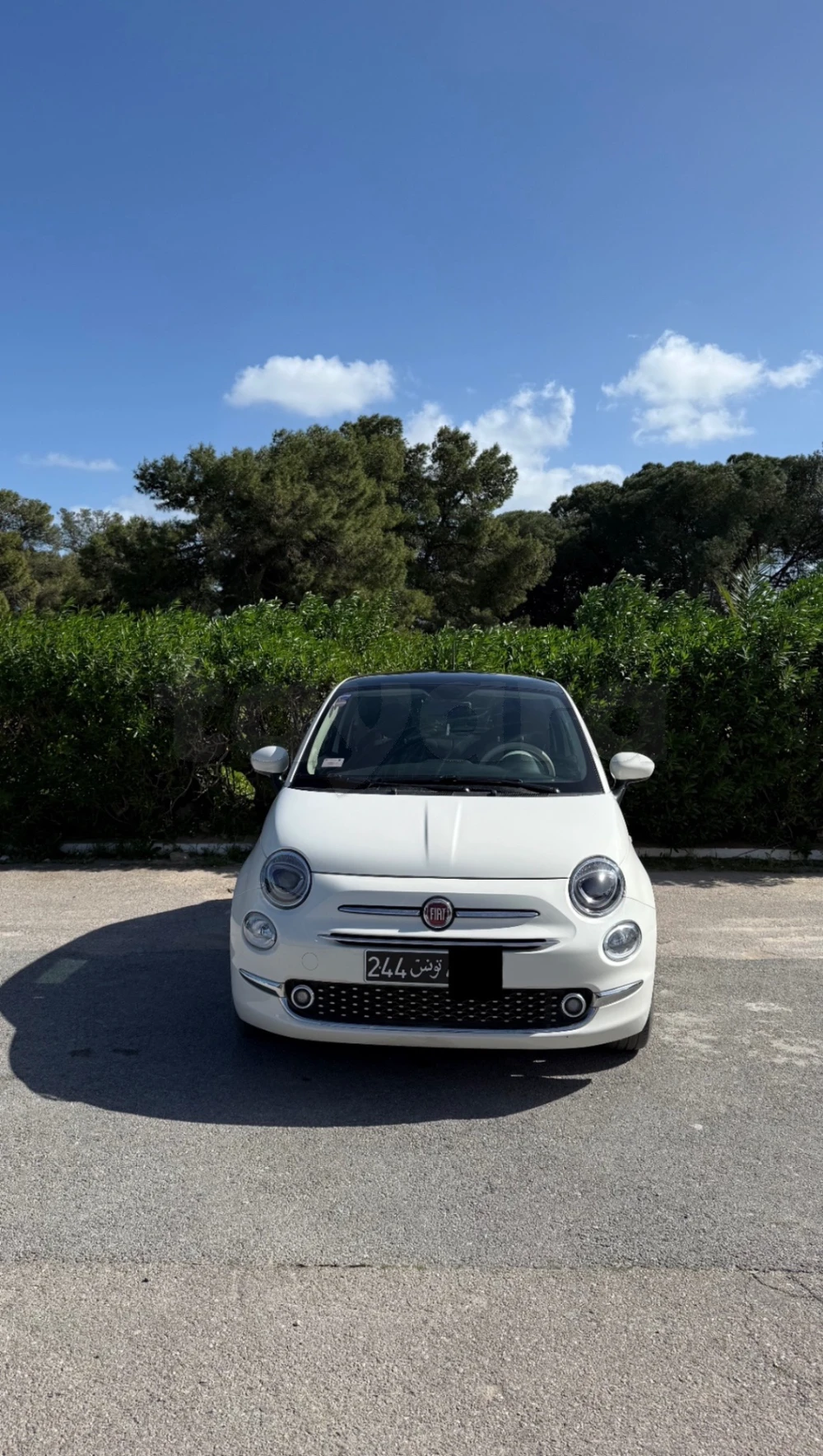Carte voiture Fiat 500