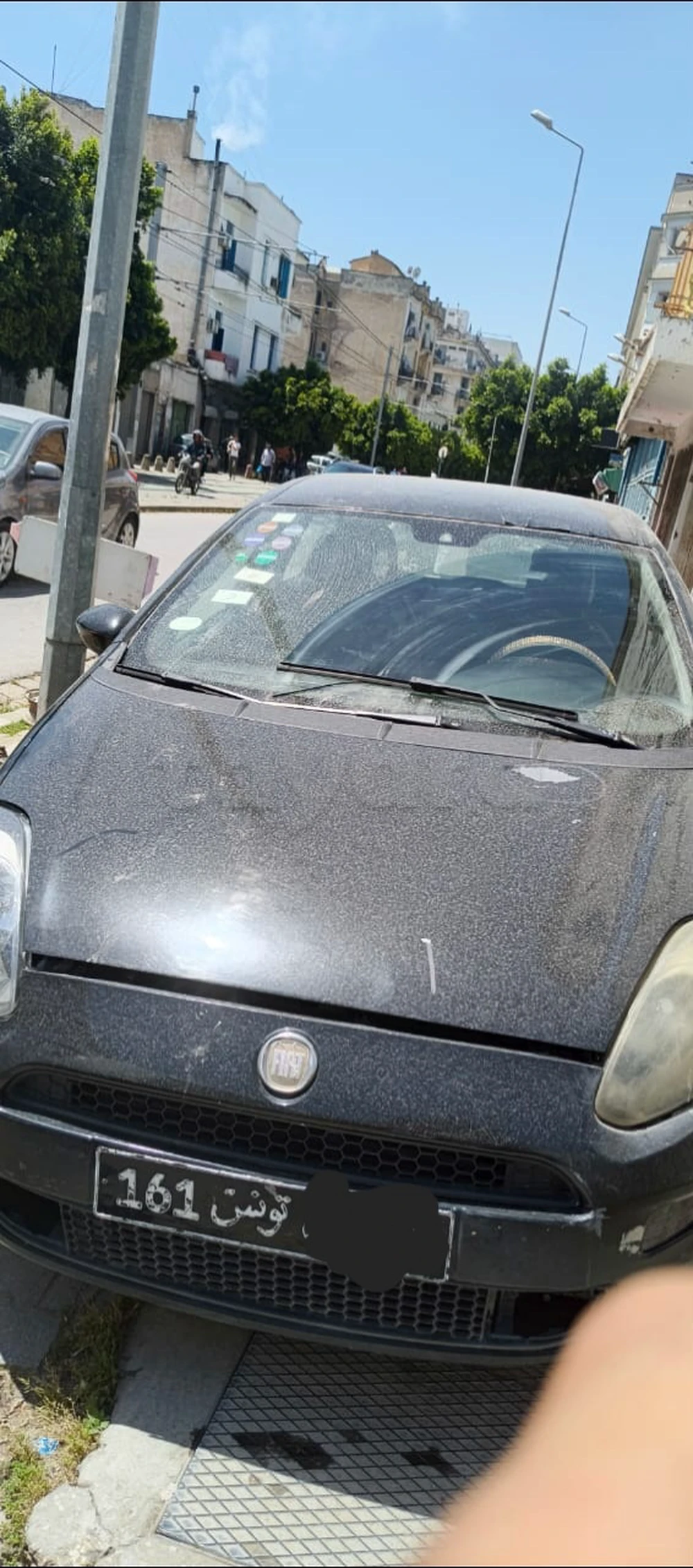 Carte voiture Fiat Punto