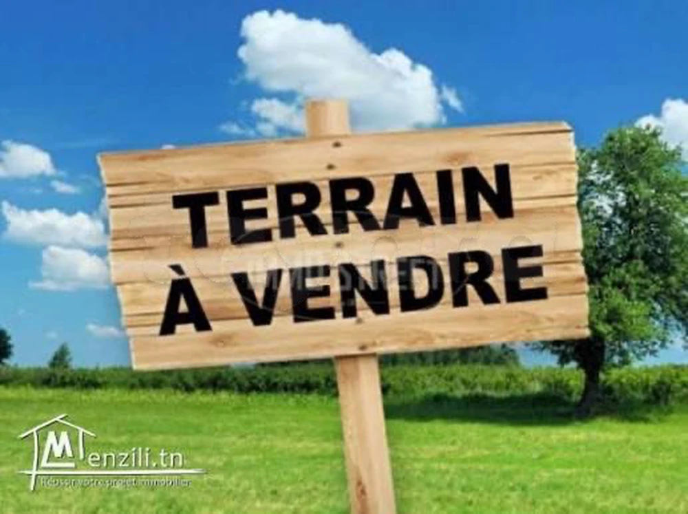 Terrain à vendre 485m2 à Menzel Jemil