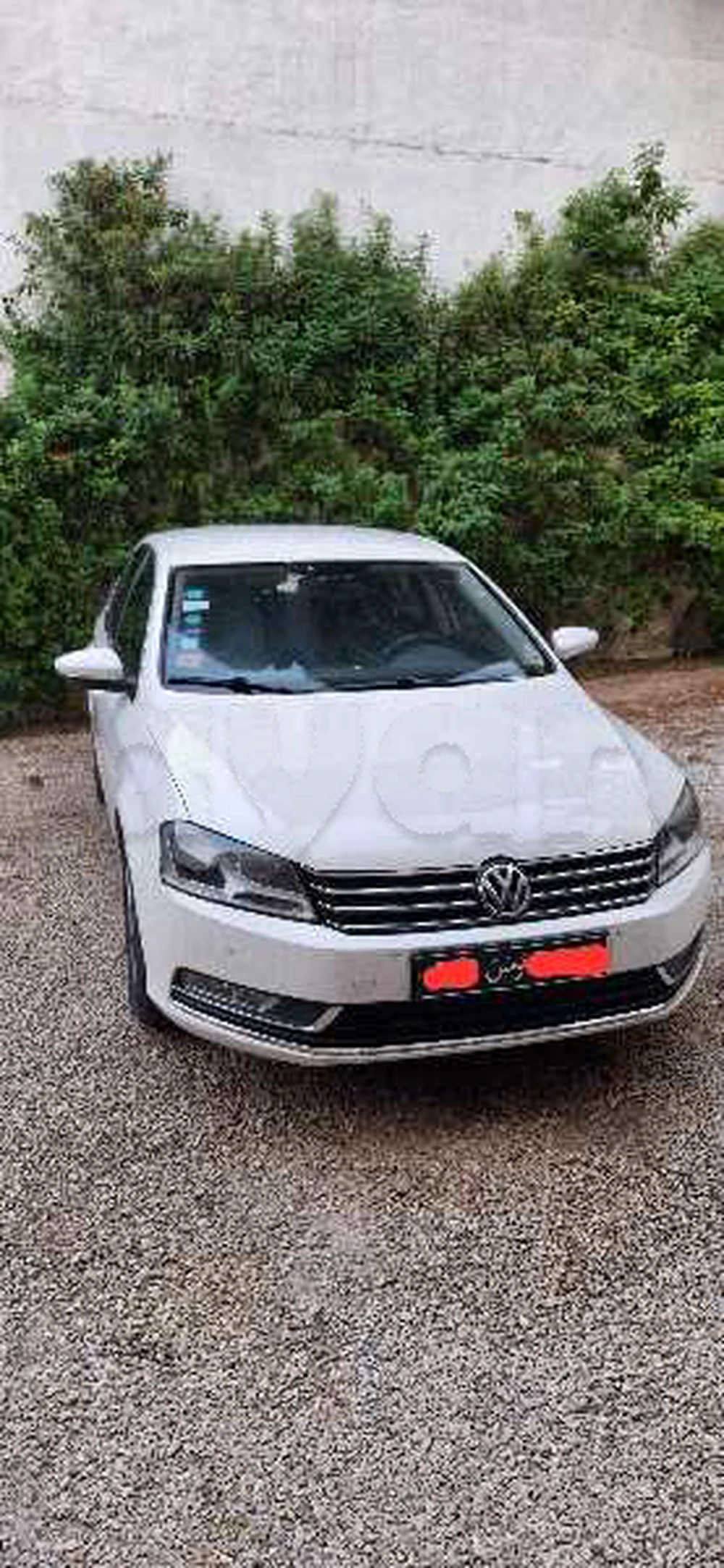 Carte voiture Volkswagen Passat