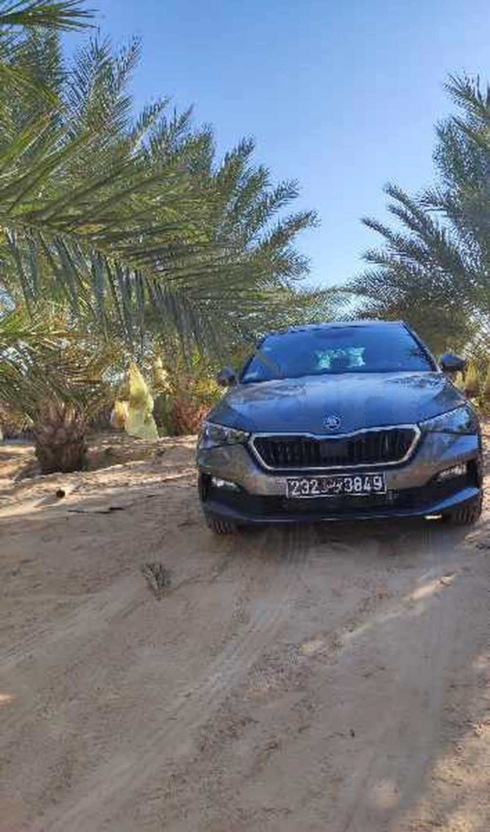 Carte voiture Skoda Rapid