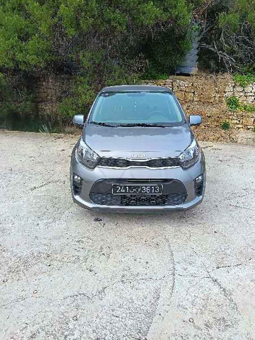 Carte voiture Kia Picanto