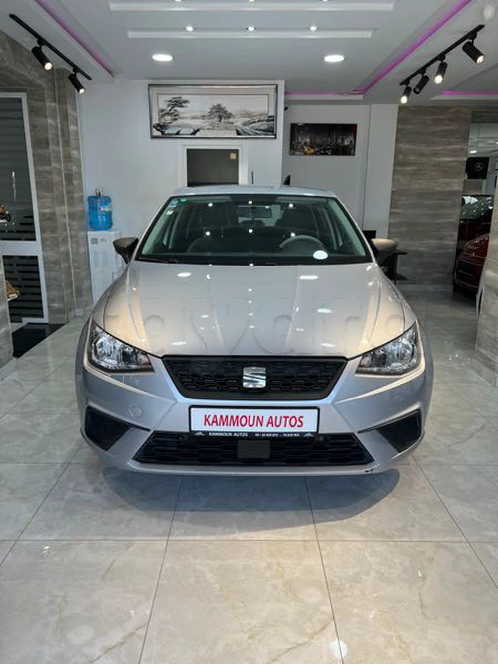 Carte voiture SEAT Ibiza