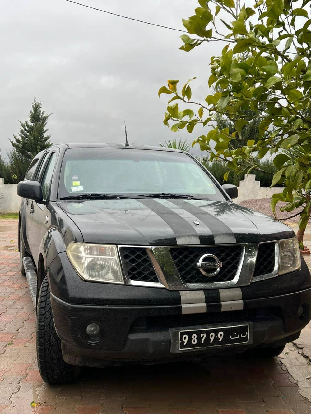 Nissan Navara