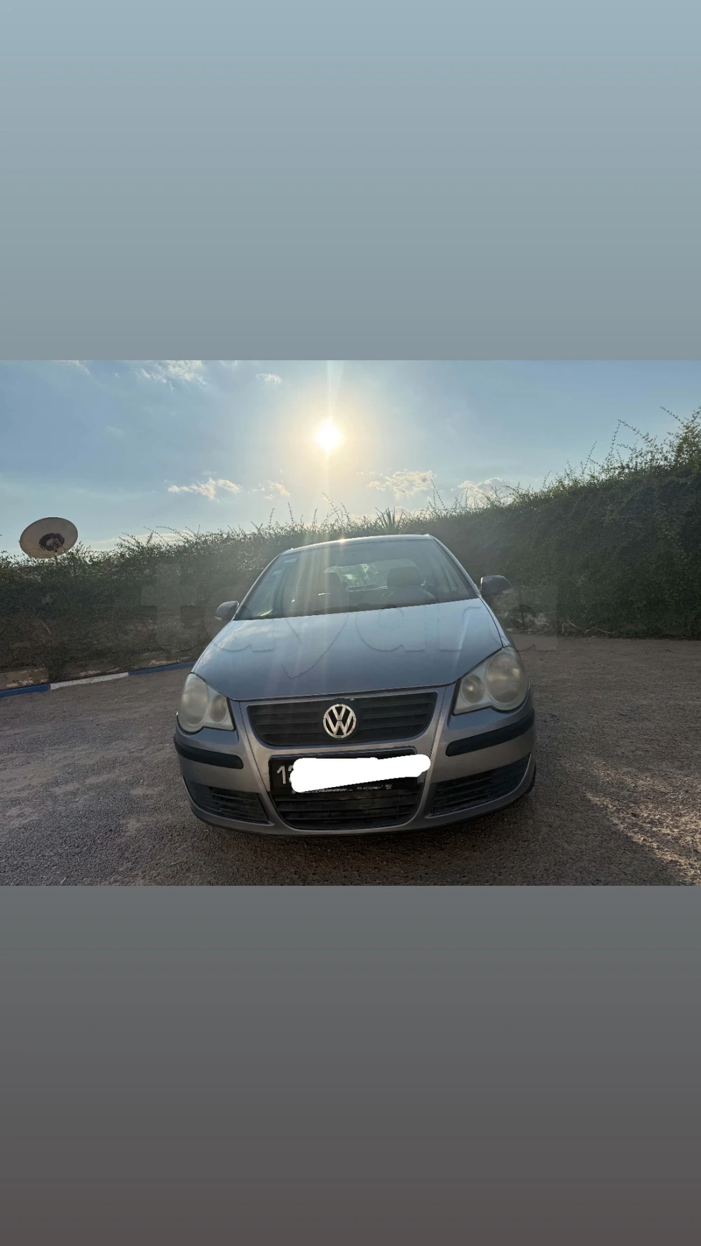 Polo 6