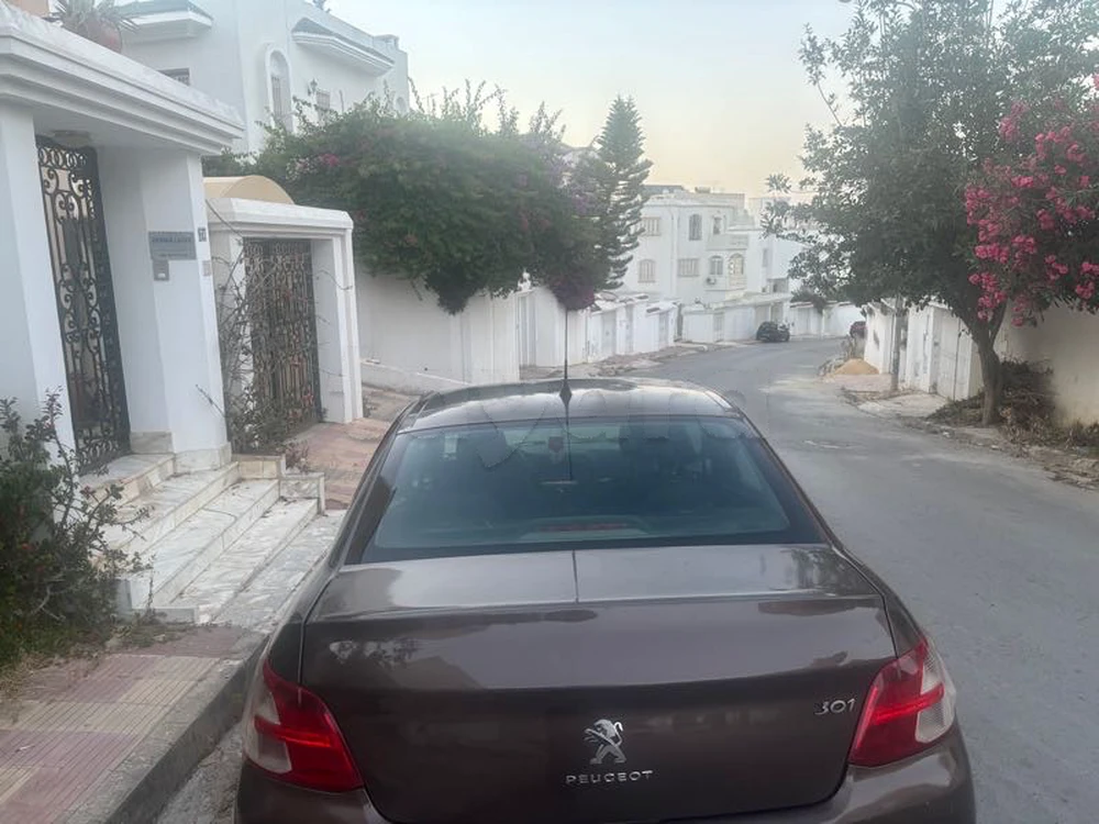 Peugeot 301