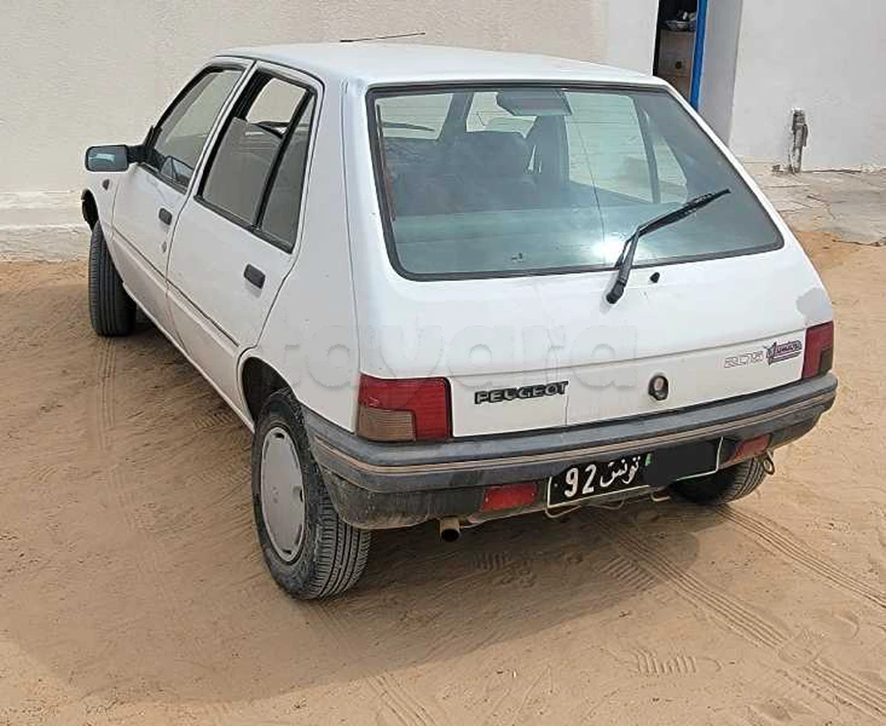 Carte voiture Peugeot 205