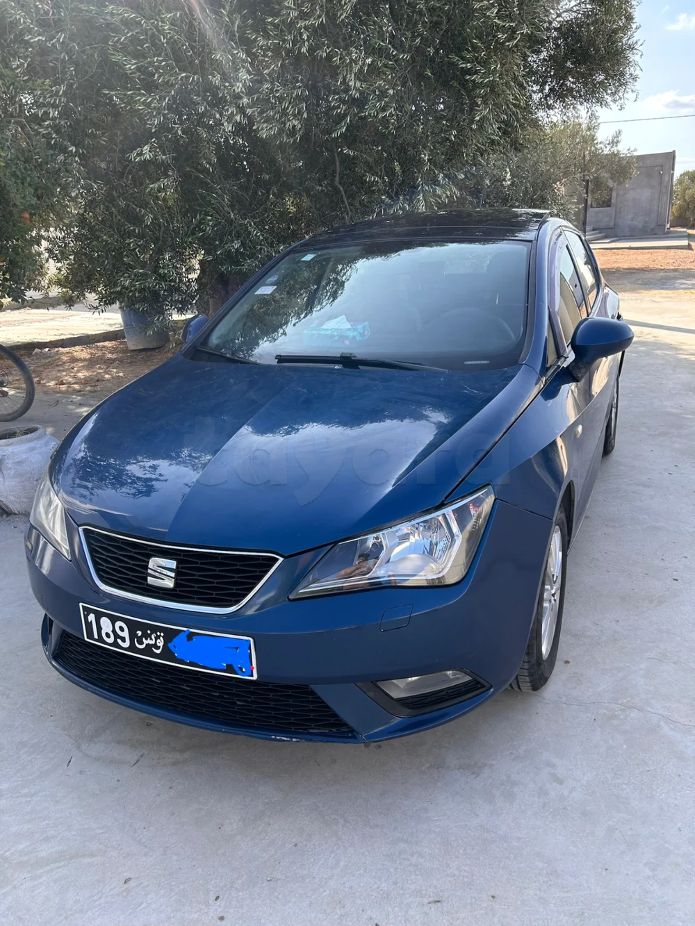 SEAT Ibiza