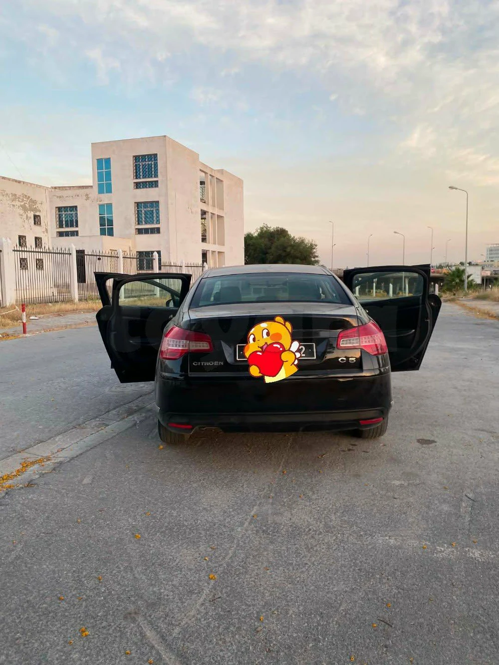 Citroen C5