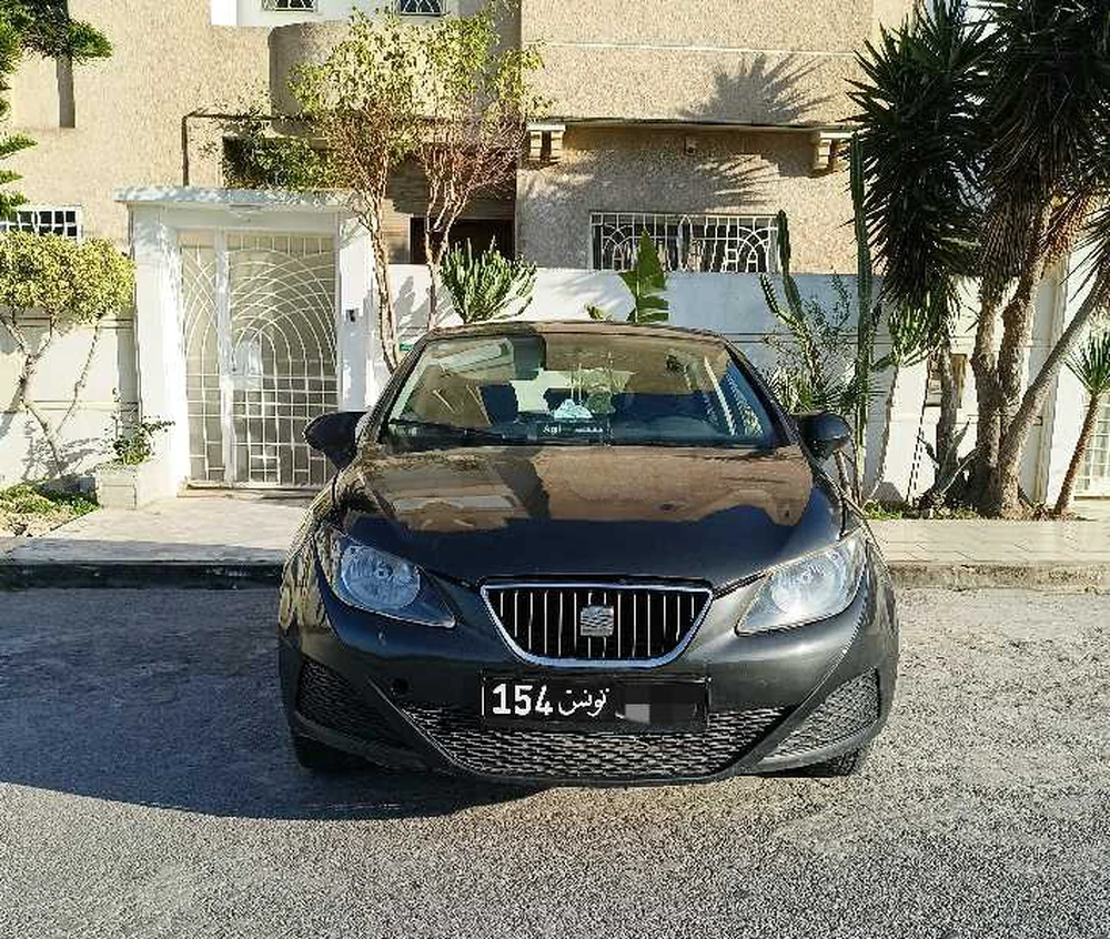 Carte voiture SEAT Ibiza