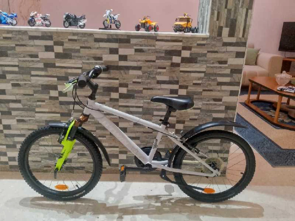 Bicyclette Rockraider 20 Pouces Presque Neuf Importer De France 🇫🇷