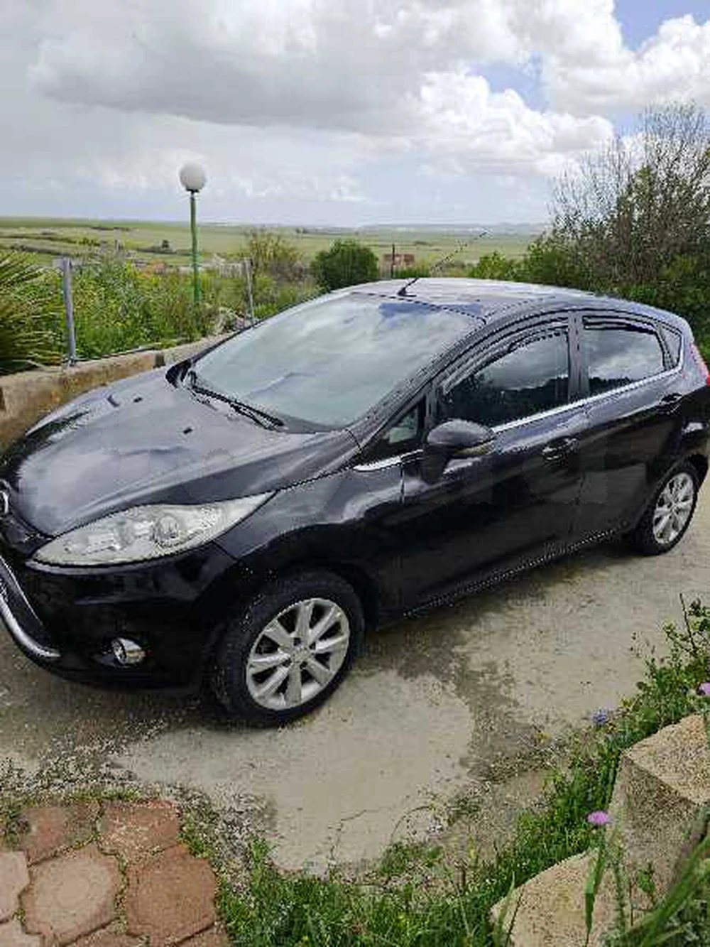 Carte voiture Ford Fiesta