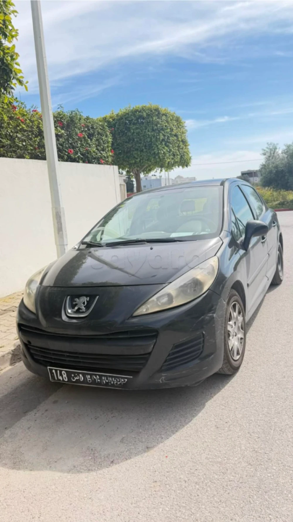 Carte voiture Peugeot 207