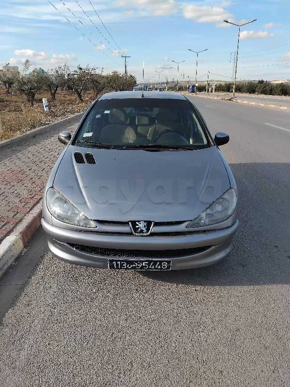 Carte voiture Peugeot 206