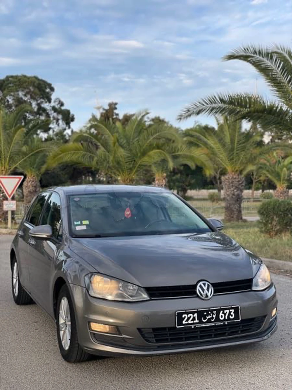 Carte voiture Volkswagen Golf