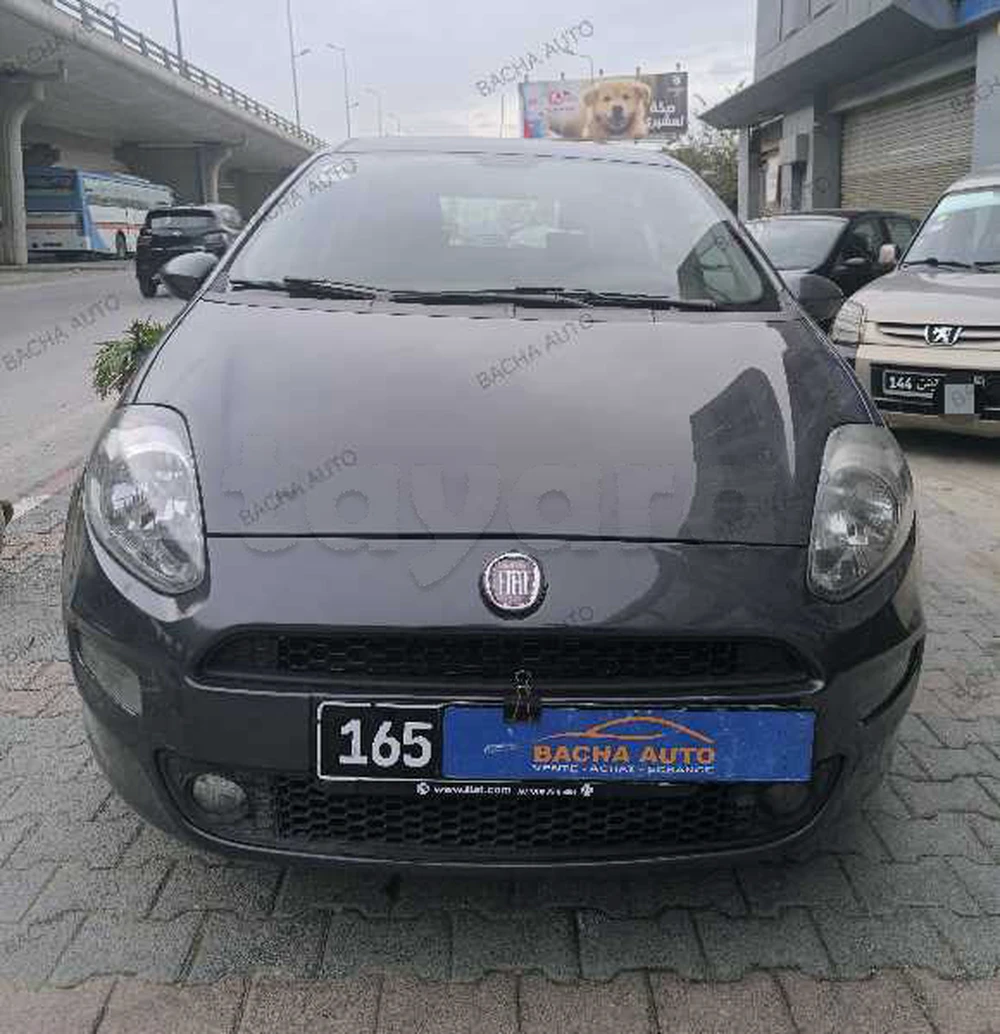 Carte voiture Fiat Punto