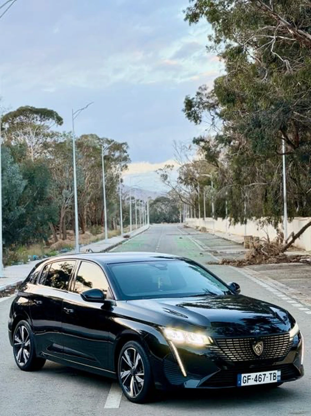 Carte voiture Peugeot 308