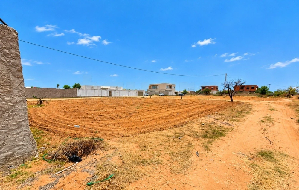 Terrain constructible 800 m² à 3 façades – Route El Ain km 10.5, Sfax