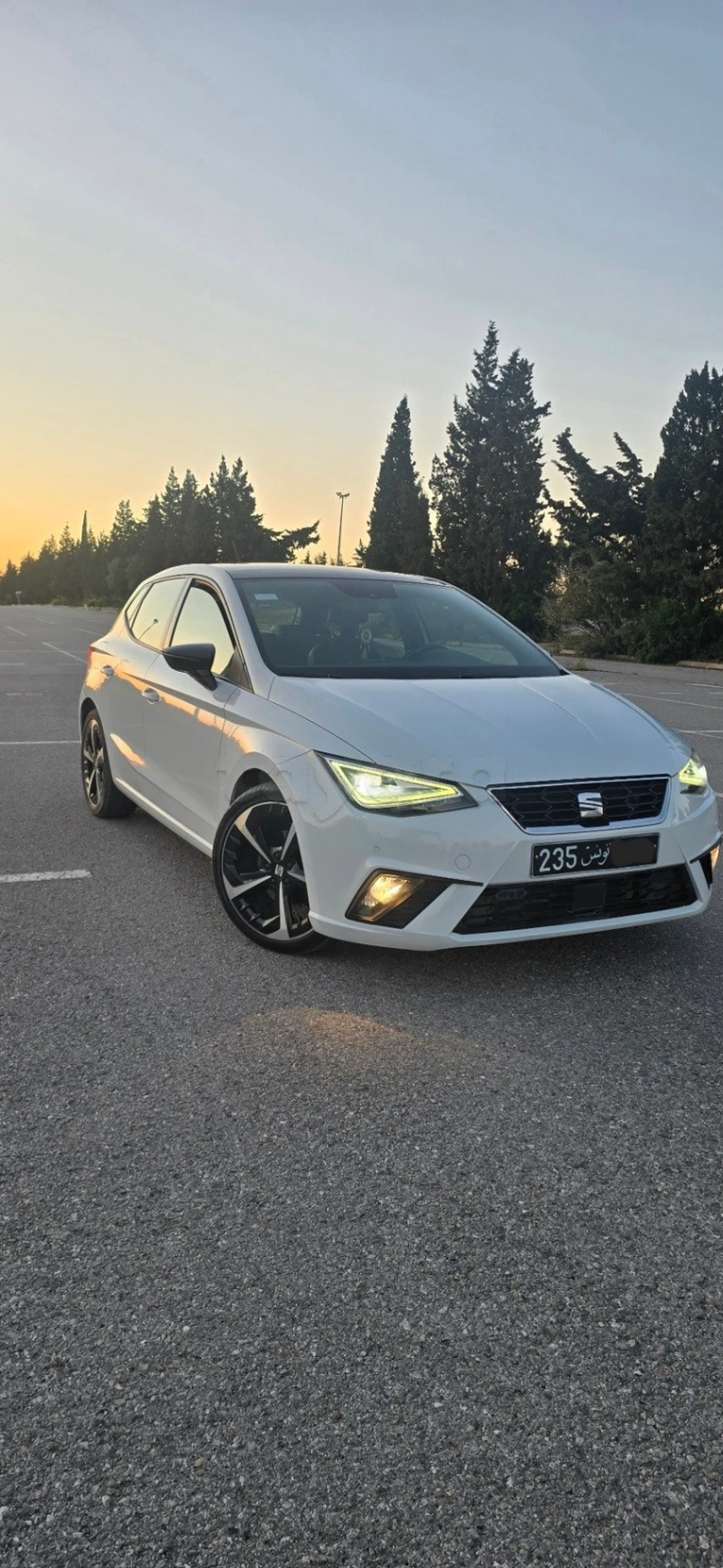 Carte voiture SEAT Ibiza