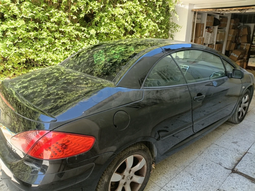 Peugeot 307