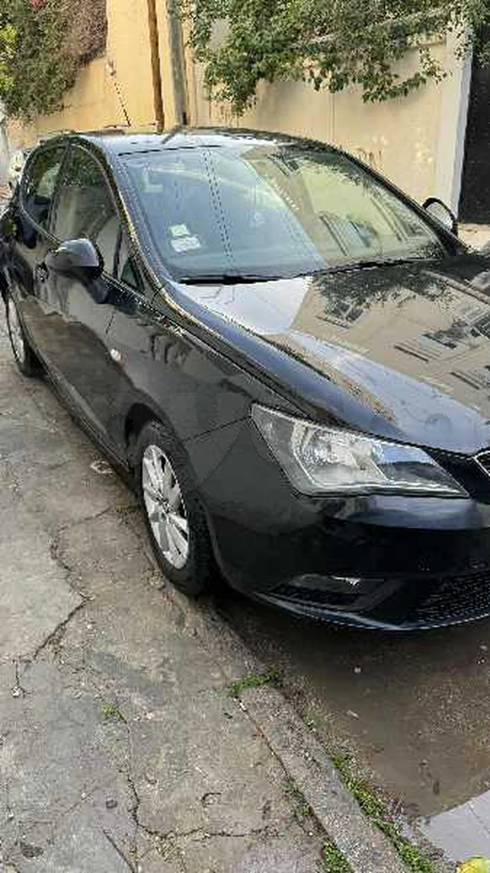Carte voiture SEAT Ibiza