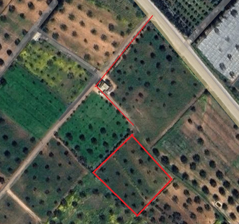 Terrain de 3000 m² à vendre à Ghardaya- Nabeul GSM 97 607 883