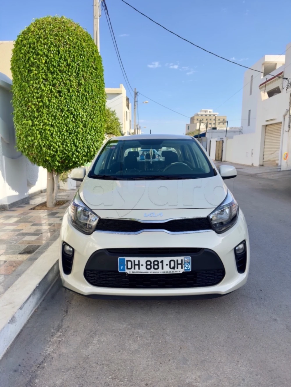 Carte voiture Kia Picanto