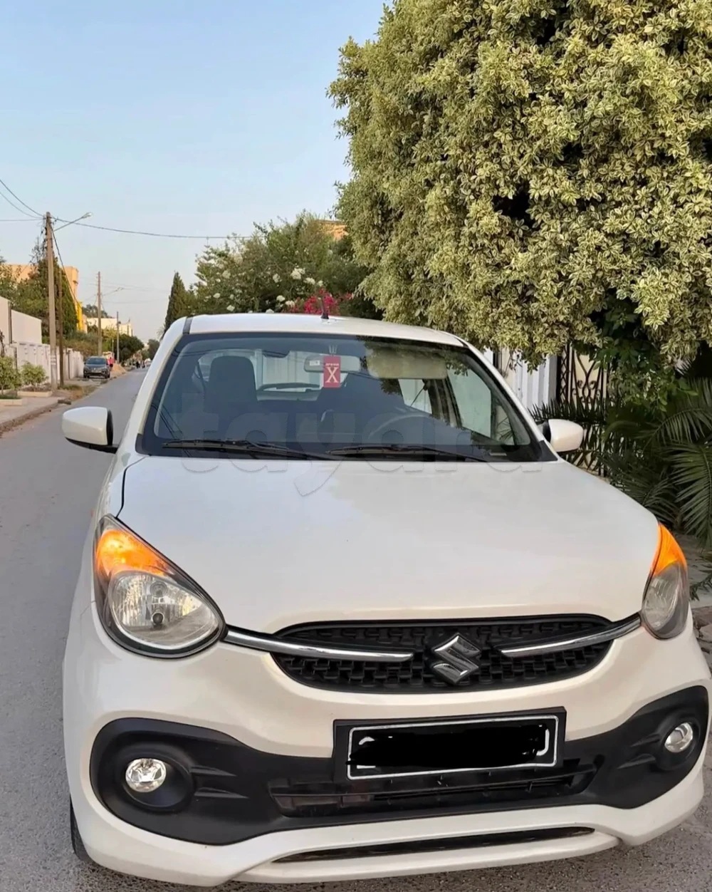 Celerio 2024