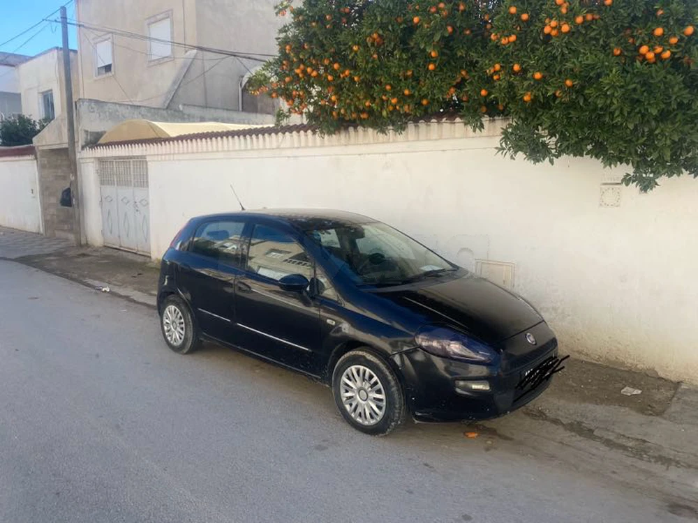 Carte voiture Fiat Punto