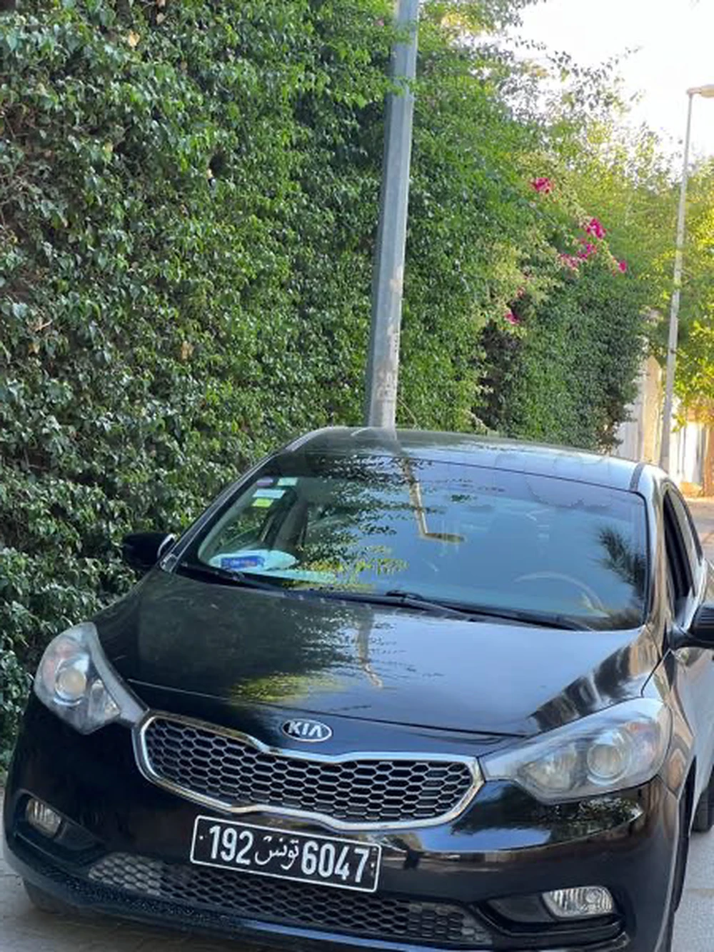 Carte voiture Kia Cerato