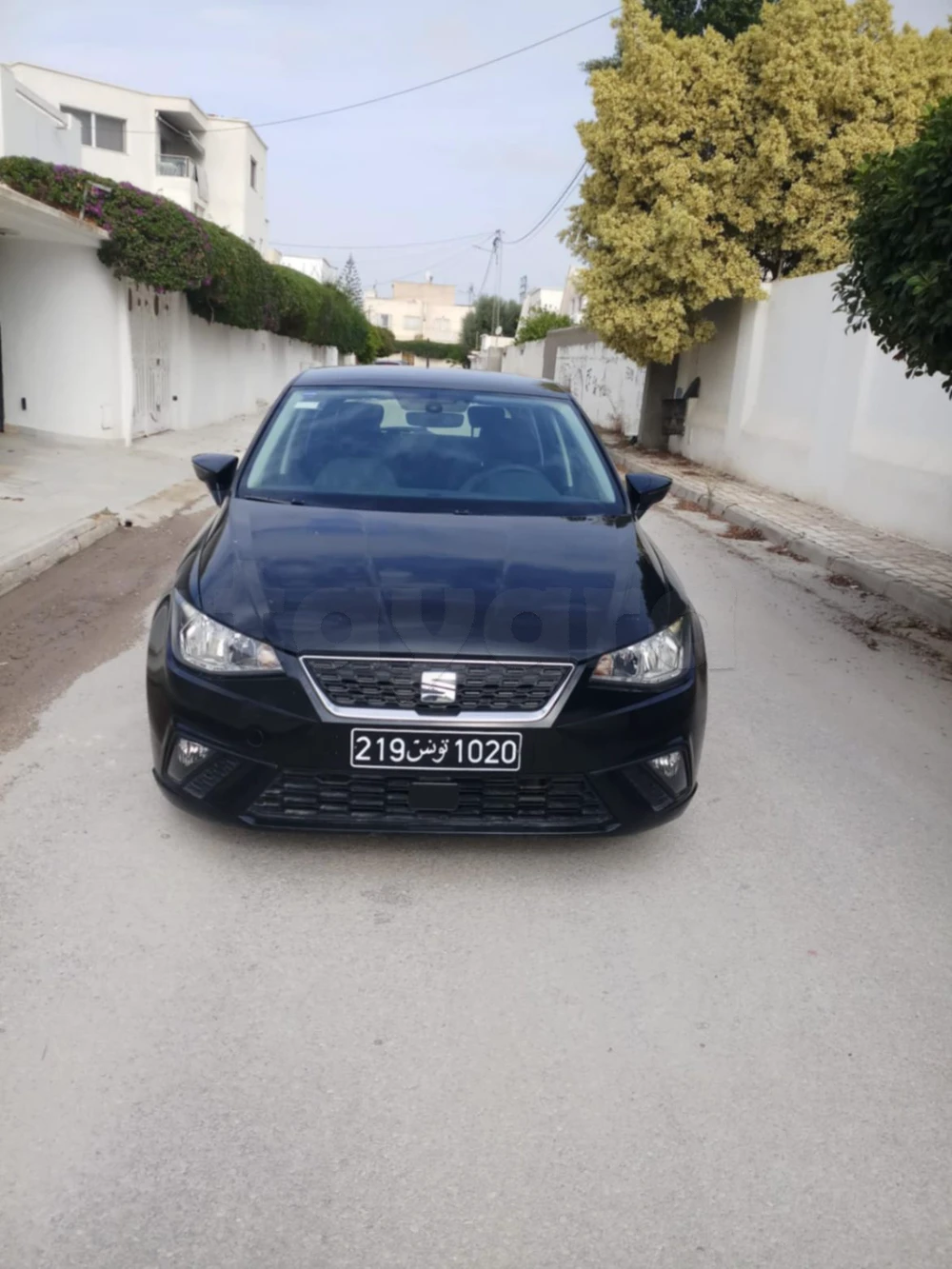 Carte voiture SEAT Ibiza